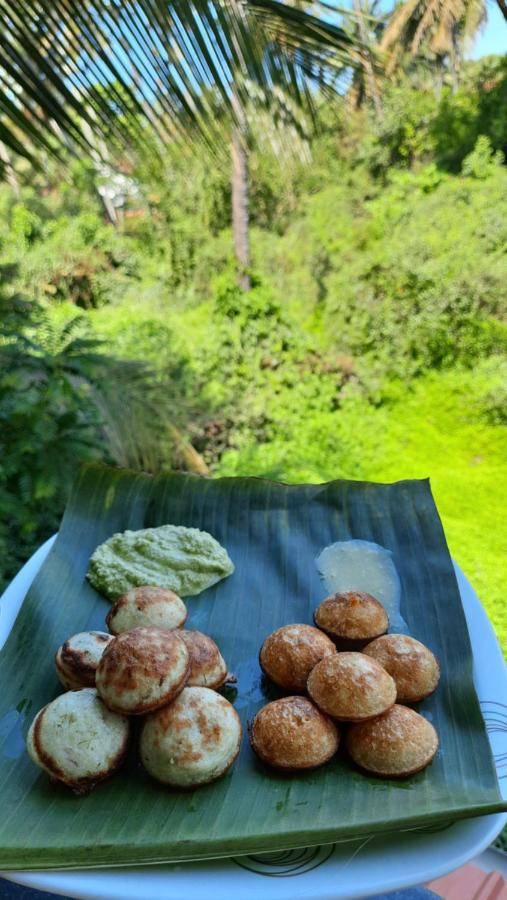 Tropical Wave Hostel Morjim Goa エクステリア 写真