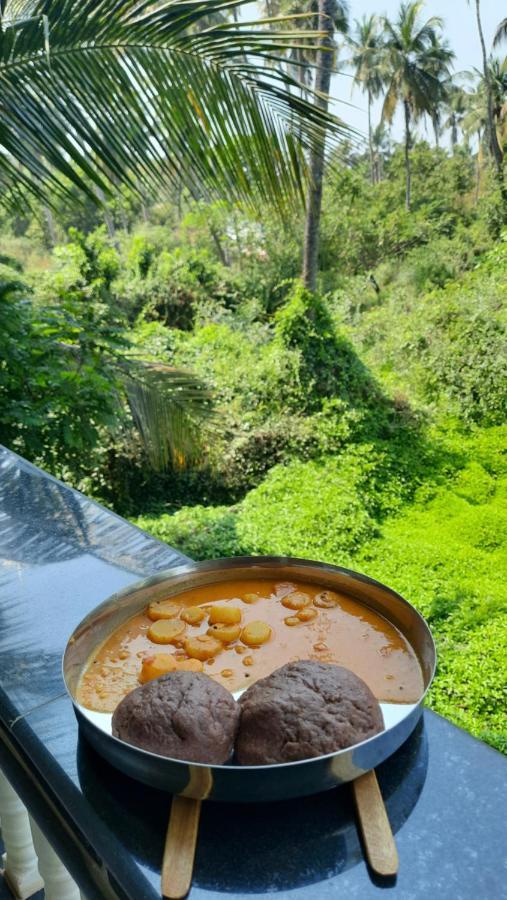 Tropical Wave Hostel Morjim Goa エクステリア 写真