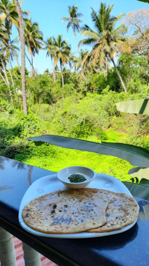 Tropical Wave Hostel Morjim Goa エクステリア 写真