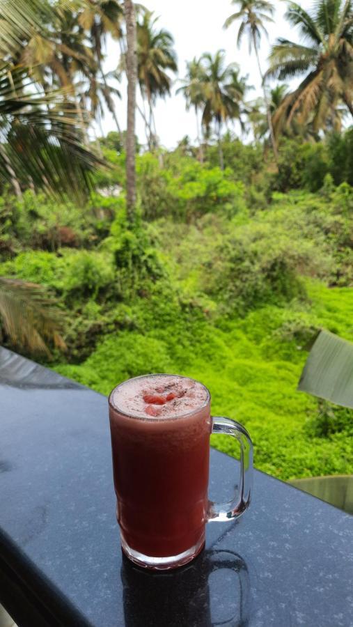 Tropical Wave Hostel Morjim Goa エクステリア 写真