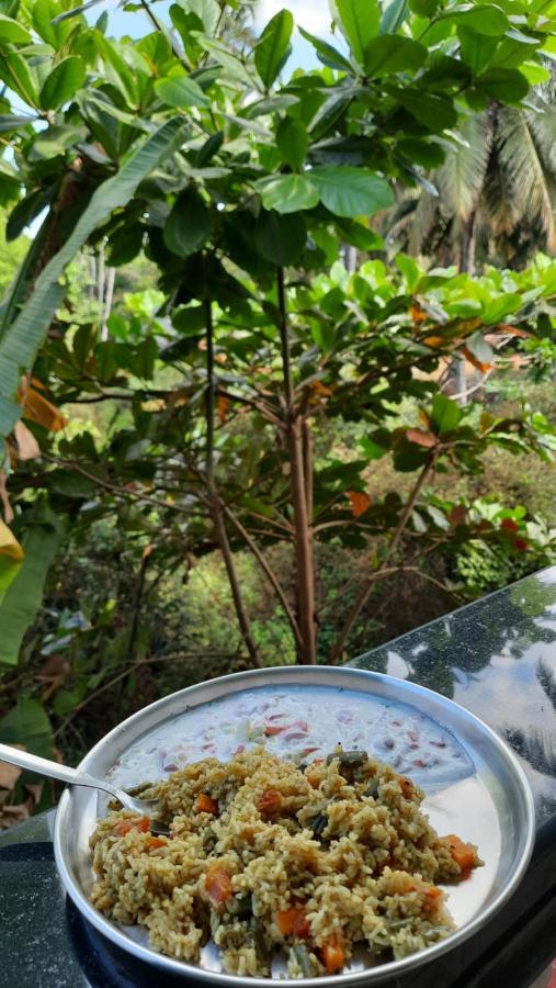 Tropical Wave Hostel Morjim Goa エクステリア 写真