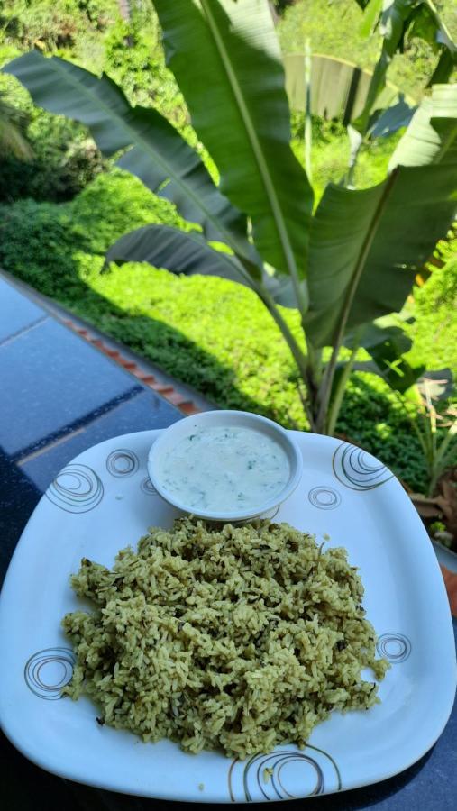 Tropical Wave Hostel Morjim Goa エクステリア 写真